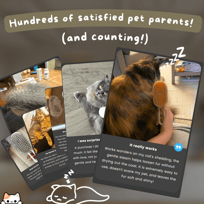 SpaBrush - PawPurify