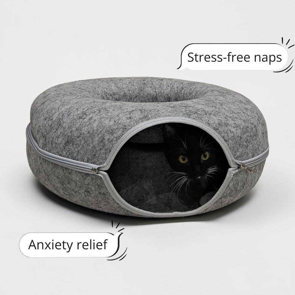 Paw Cave