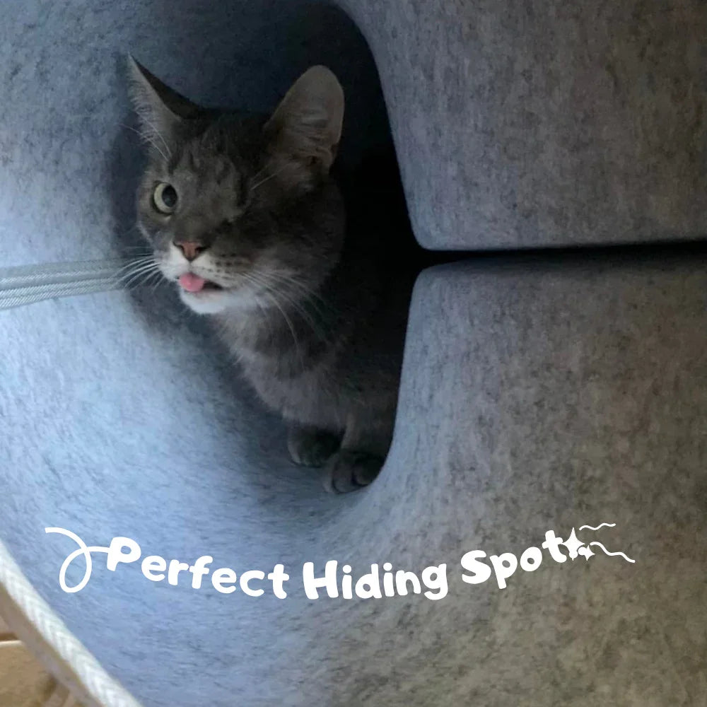 Gray cat inside cozy felt cat cave with text perfect hiding spot, indoor cat furniture