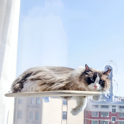 Cloud Nine - PawPurify
