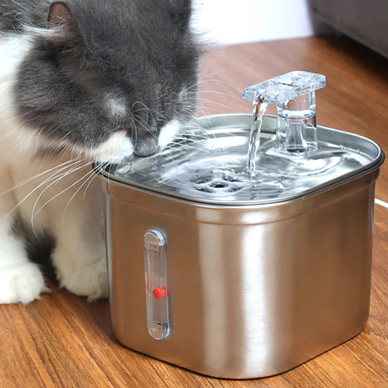 PawFountain™  improve your cat's health