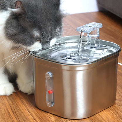 PawFountain™  improve your cat's health