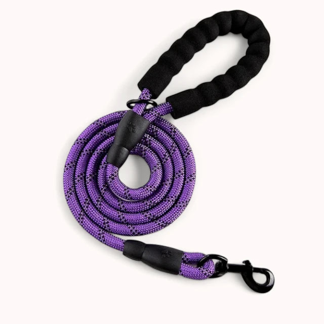 PawPull Leash