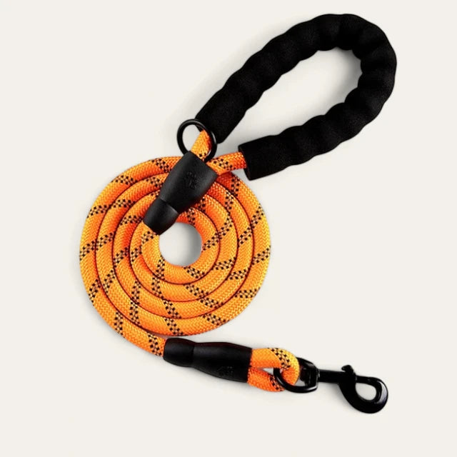 PawPull Leash