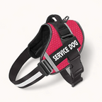 PawPull Harness - PawPurify