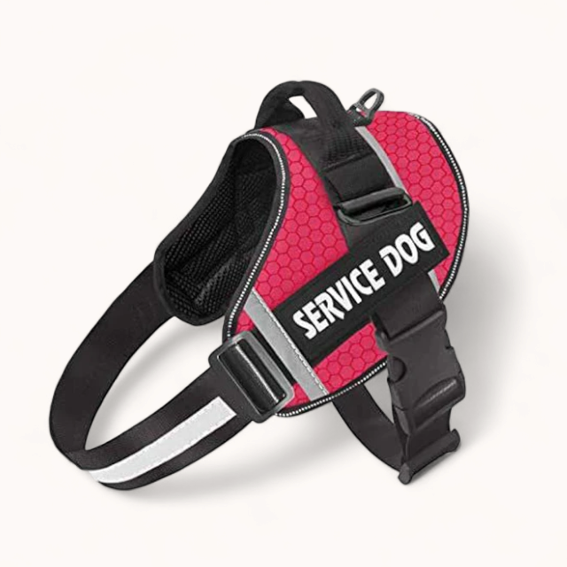 PawPull Harness - PawPurify