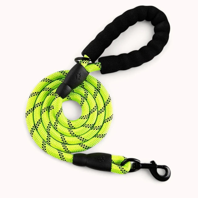 PawPull Leash