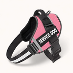 PawPull Harness - PawPurify