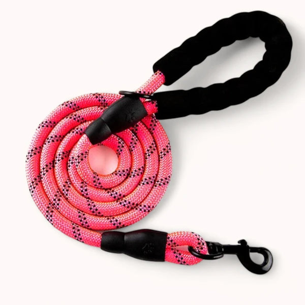 PawPull Leash