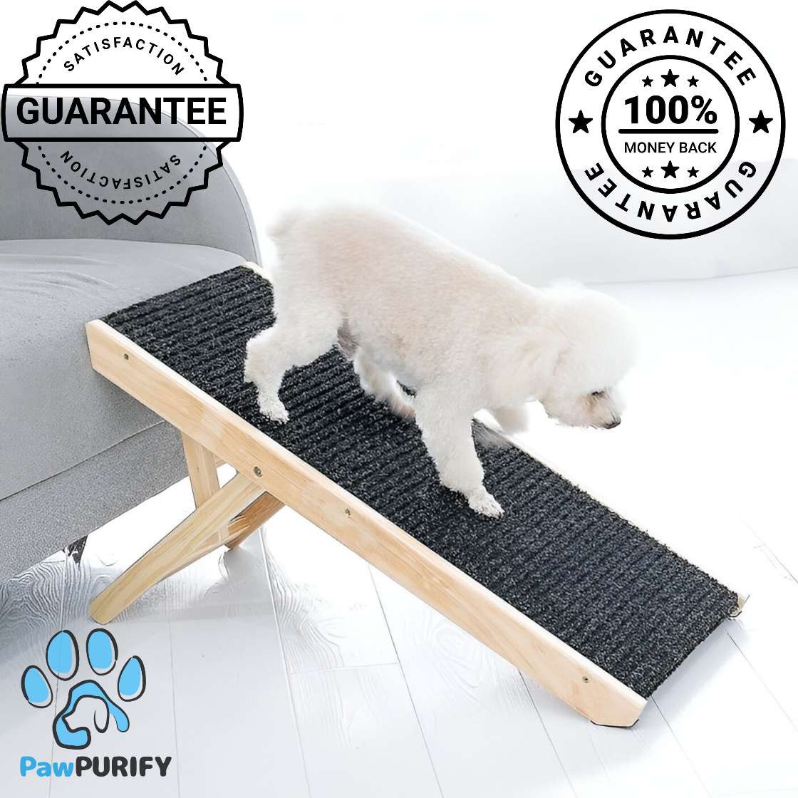 Senior DogRamp - PawPurify