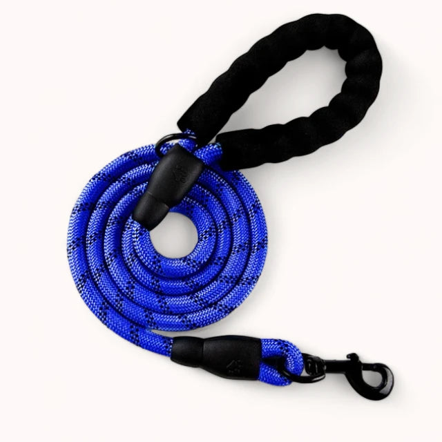 PawPull Leash