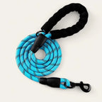 PawPull Leash - PawPurify