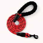 PawPull Leash - PawPurify