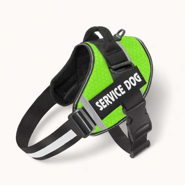 PawPull Harness