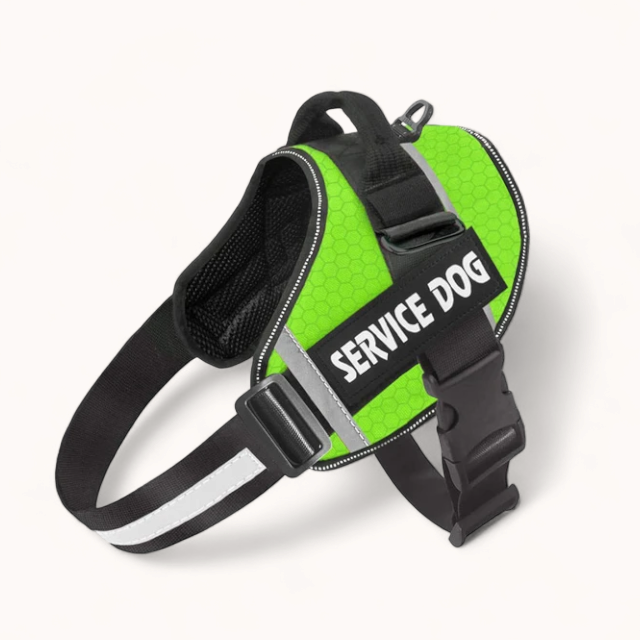 PawPull Harness - PawPurify