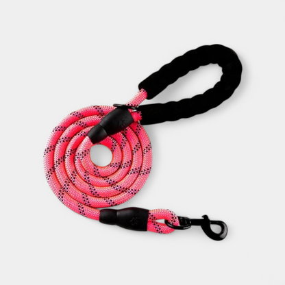 PawPull Leash
