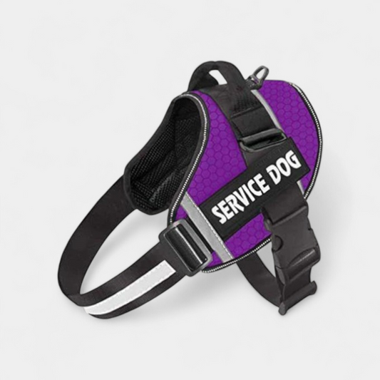 PawPull Harness